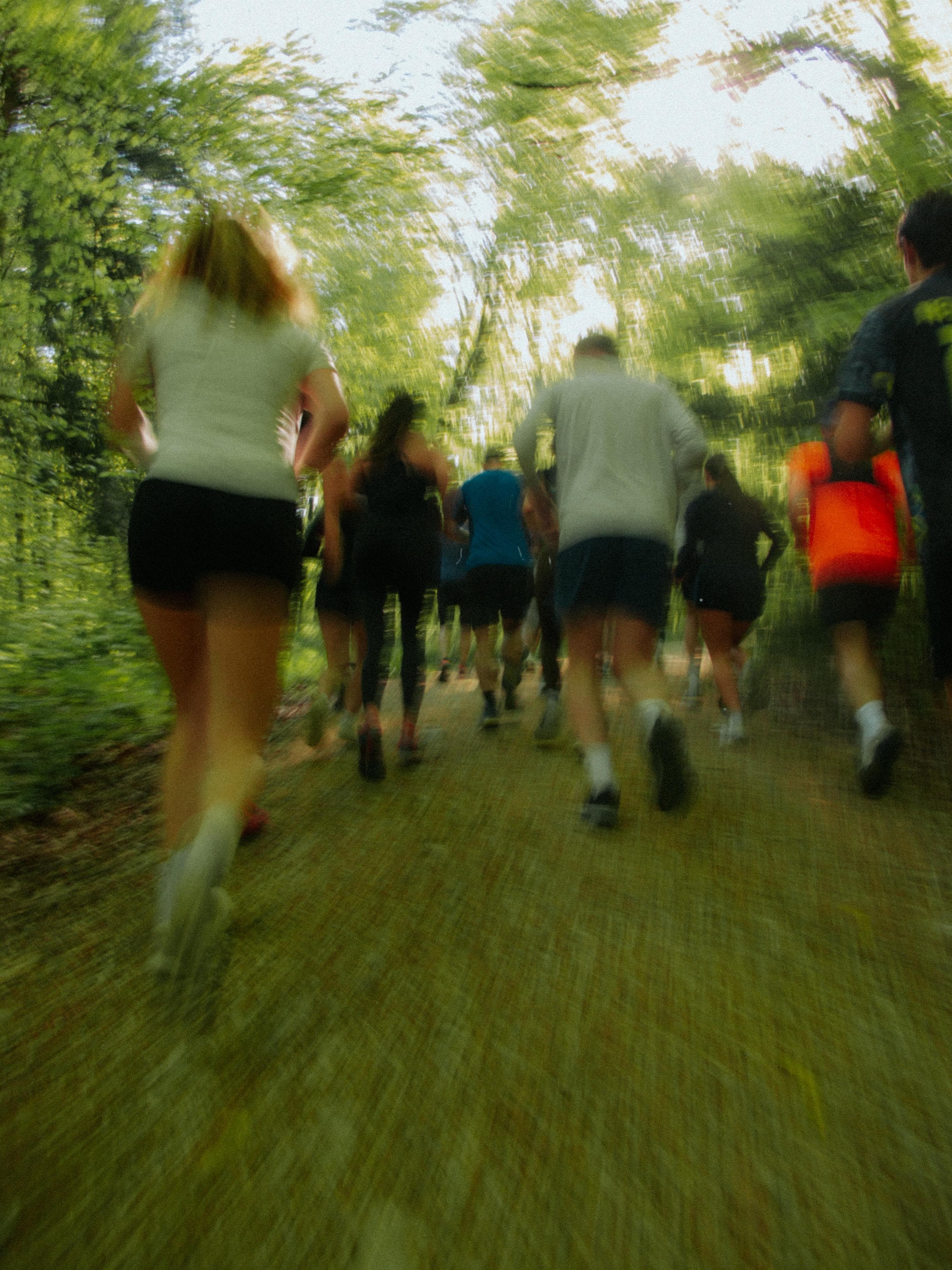 11RUNCLUB Läufer:innen auf einem Waldweg